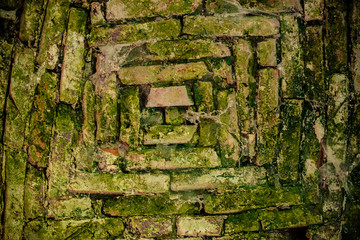 Ruins of old castle with mossy and crumbly walls