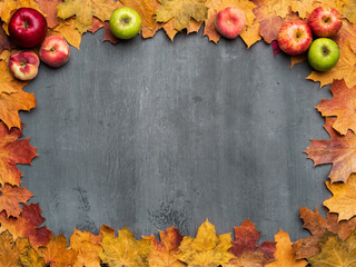 Seasonal autumn background. Frame of colorful maple leaves.