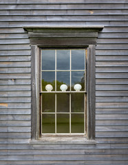 Scallop Shells in a Colonial House Window