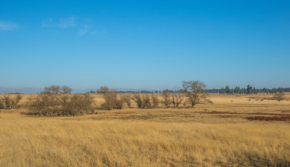 Farmland in landscape format in South Africa image with copy space