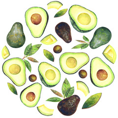 Circle with avocados and hass avocado fruits,  leaves. For logo design, card. Isolated elements on a white background. Hand painted in watercolor.