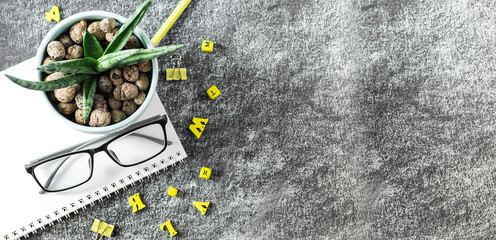 Glasses teacher books, wooden letters and a succulents pot on the table, on the background of a blackboard with chalk. The concept of the teacher's day. Copy space.