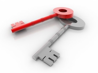 house protection key. 3D illustration