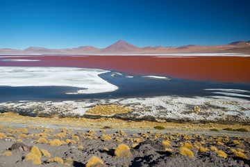 Laguna Colorada. Mountains of Bolivia, Altiplano. South America.