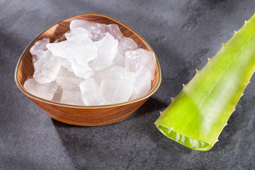 aloe vera leaf - Text space