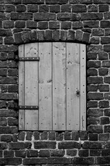 Rustic Wood Door in a Brick Wall