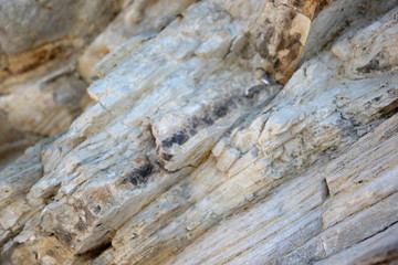 White textured rock strata on Albania beach