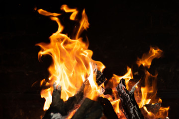 fire flames in bonfire stove isolated with balck