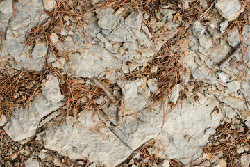 texture of the mountain. stone close up.