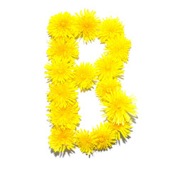 Dandelion Alphabet