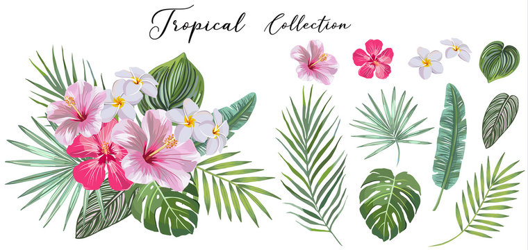 hand drawn Set of tropical leaves and flowers. vector design concept