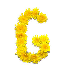 Dandelion Alphabet