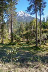 Achenkirch