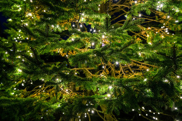 Decoration on green tree with small lights