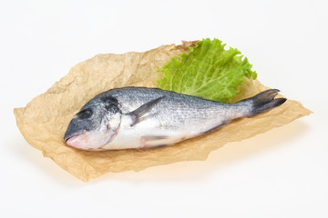 Raw Dorada fish  for cooking