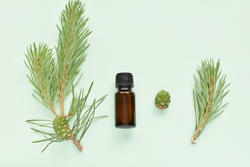 Pine essential oil in small brown bottle, flat lay with pine twigs on green background.