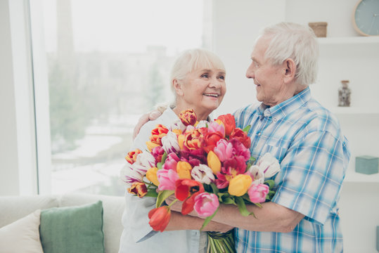 Portrait of her she his he two nice attractive cheerful cheery sweet tender people granny receiving fresh floral tulips congratulations greetings spring in light white interior living-room house
