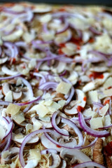 Close-up view of vegetarian pizza with tomato sauce, cheese, mushrooms and onion. Selective focus.