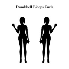 Dumbbell biceps curls exercise silhouette