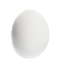 Raw fresh chicken egg