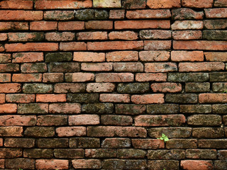 old brick wall texture background
