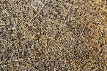 Photo hay animal feed, good background.