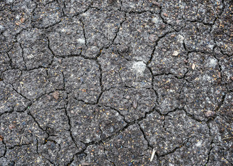 drought, dried black soil, cracked