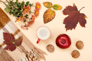 Autumn theme. Dry leaves, cup of coffee, apple, walnuts and plaid on the beige background.