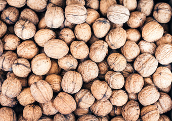 Natural walnut in shell background pattern texture.
