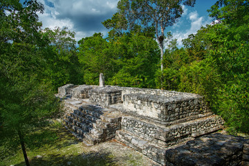 Fototapeta na wymiar The ruins of the city of Calakmul. Maya Pyramid.