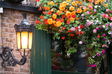 Ornamental Street Flowers - Dublin Ireland