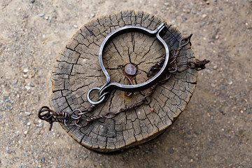 Old shackle with chain on old wooden stump