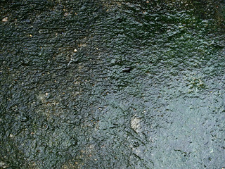 wet concrete floor with mosss texture