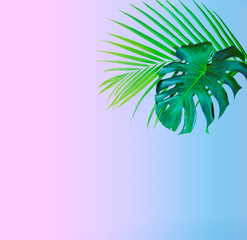 Fototapeta na wymiar Summer and Spring tropical palm leaves on pastel background with a blank space for text, stylized image. Travel vacation concept. Summer background. Road frame set. Flat lay, top view.