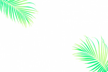 Fototapeta na wymiar Tropical palm leaves on a white background for designs with a blank space for text, Summer Styled. High quality image. Travel vacation concept. Summer background. Road frame set. Flat lay, top view.