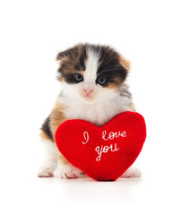 Fototapeta na wymiar Kitten with toy heart.