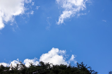 近江ぶらり、信楽でなつぞら