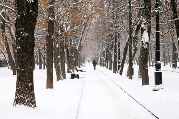 Snowfall in city park, blizzard and cold weather concept. People walking on a snowy walkway in winter, trees with dry leaves are covered with snow