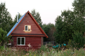 Village house in Russia. Country house in the countryside. The hut is the national home of the Russians. Outside the city in the summer.