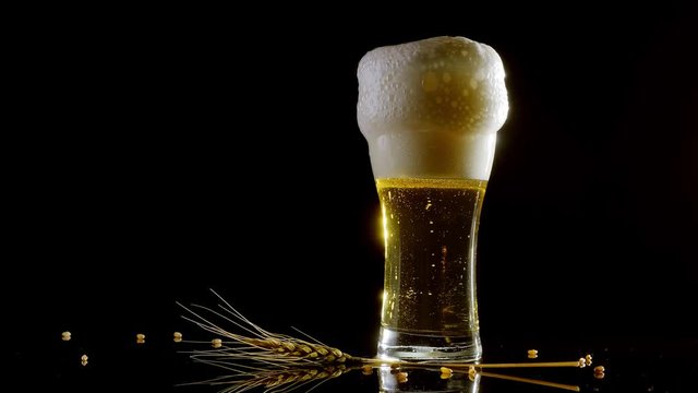 Beer is poured into a glass on a black background. foam flows down  Toby on mirror surface.