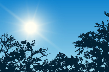 Realistic illustration of blue sky with shining sun and tree tops silhouettes, vector