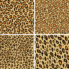 Set of leopard skin seamless pattern. Wild cat texture repeat. Abstract animal fur wallpaper. Contemporary backdrop. Concept trendy fabric textile design.