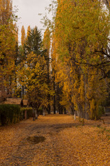 Colorful scene view of autumn in Esquel, Patagonia, Argentina