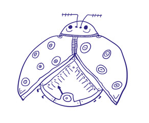Humorous insect. Coccinellidae or ladybug, ladybirds. Vector illustration