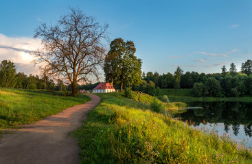 Fototapeta na wymiar Summer evening landscape with a castle in the Park