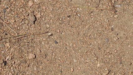 Textura de tierra amarilla