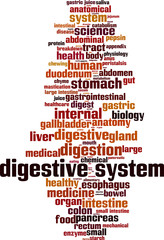 Obraz premium Digestive system word cloud