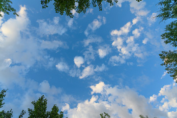 blue sky and white fluffy  clouds and trees