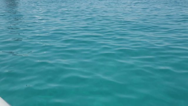 Mare