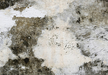 dirty wall with mold texture